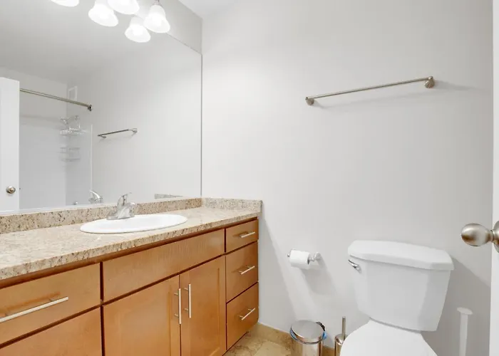 Apartment Streeterville 1br W Gym Pool Nr Chi-588 Chicago